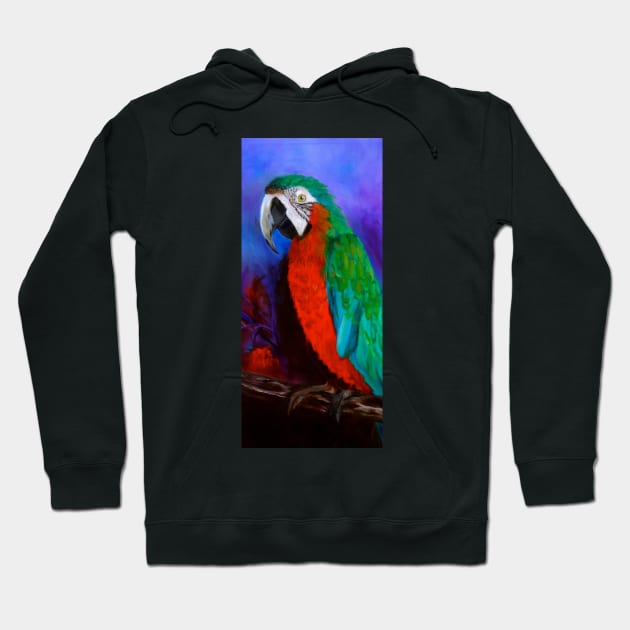 Macaw Hoodie by jennyleeandjim